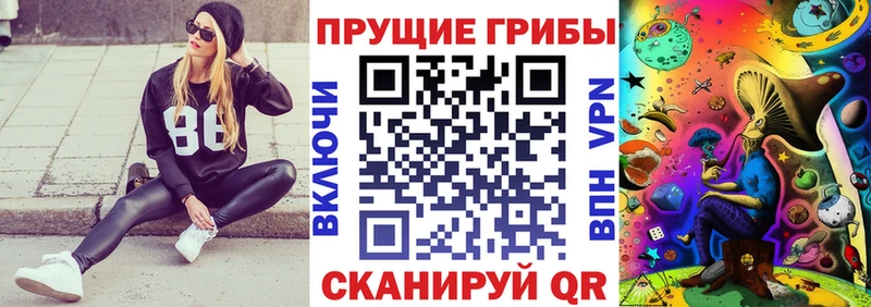 наркотики  Новошахтинск  Галлюциногенные грибы мицелий 